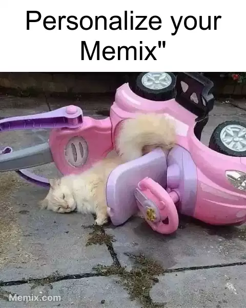 Cat Car Crash Meme, GIF - Share with Memix